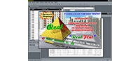 Программа "RealPlus"